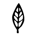 リーフ