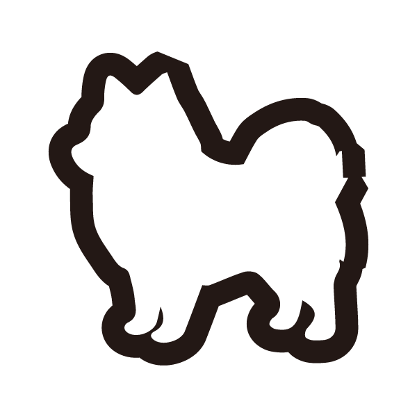 ポメラニアン（右） 